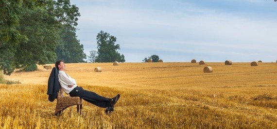 Contemporary businessman farmer in the landscape